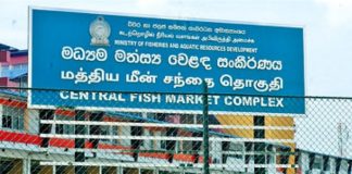 PELIYAGODA FISH MARKET WILL RE-OPEN TODAY (16)