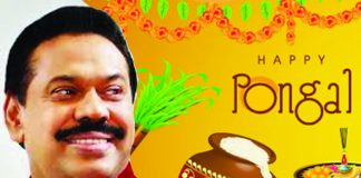 This year’s Thai Pongal festival can be celebrated with renewed hope : PM