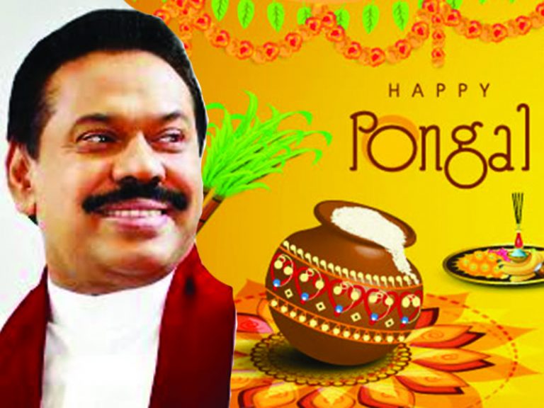 This year’s Thai Pongal festival can be celebrated with renewed hope : PM