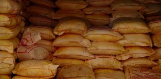 7500 Kg of Illegally imported Turmeric Seized (Photos)