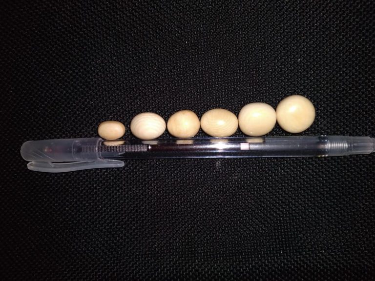 POLICE FOIL SALE OF 06 ELEPHANT PEARLS WORTH RS. 15 Mn