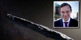 A Harvard professor says an alien visited in 2017 : & more are coming