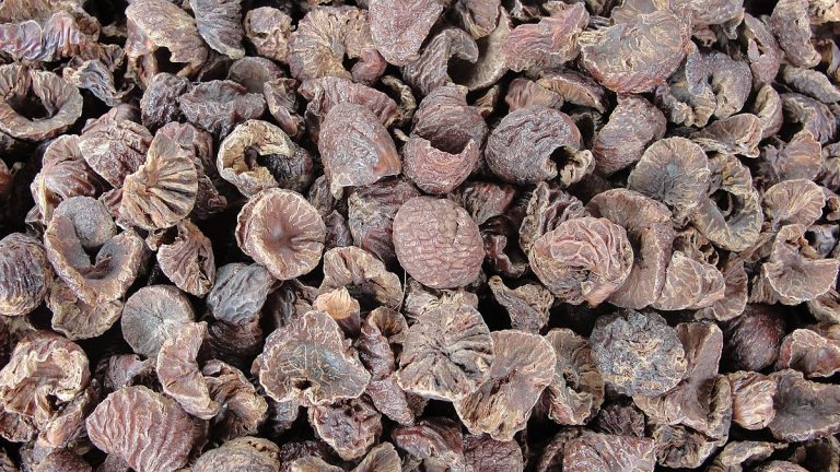 Suspect arrested for re-exporting areca nuts worth Rs 300M