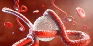 Guinea declares new Ebola outbreak