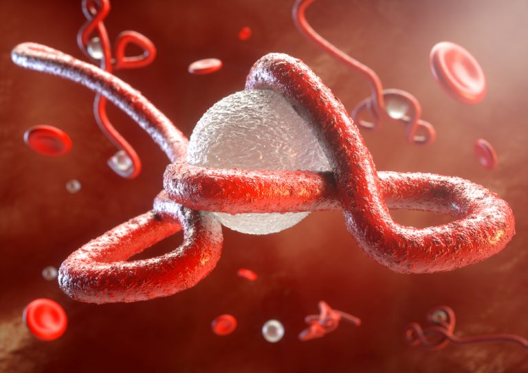 Guinea declares new Ebola outbreak