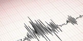 Strong quake of magnitude 6.9 rocks northeastern Japan