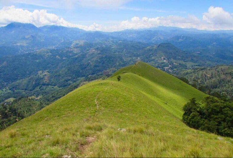 Hiking Narangala mountain range banned until further notice
