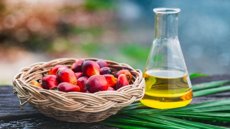 Palm Oil imports completely banned with immediate effect