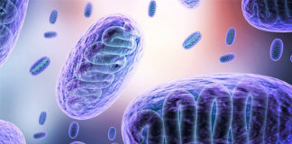 Covid patients in India are being maimed by a “black fungus.”