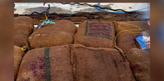 Navy seizes Kerala cannabis