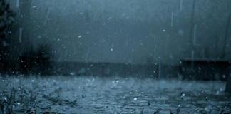 Today’s Weather Forecast