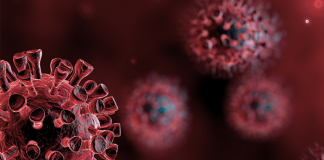 The risk of the virus spread is gradually increasing – Government Medical Officers’ Association