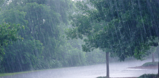 Today’s Weather Forecast