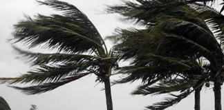 A strong wind advisory has been issued