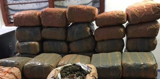 The Navy has seized about 344.5 kg of Kerala cannabis