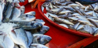 The Peliyagoda Fish Market, will be opened only for wholesale trade