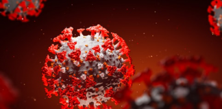 396 more individuals recovered from Covid-19