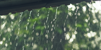 Today’s Weather Forecast