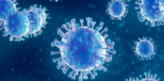 356 more individuals recovered from Covid-19