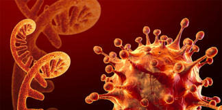 China detects first case of Omicron