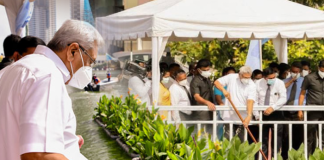 President Gotabaya Rajapaksa released a thousand ecological floating islands to the Beira Lake