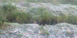 Today’s weather forecast