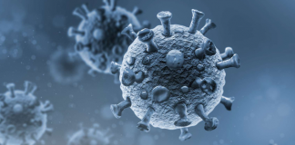 131 more individuals recovered from Covid-19 Omicron