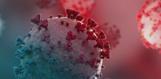 310 more individuals recovered from Covid Covid