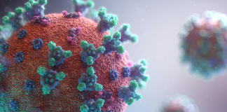 335 more individuals recovered from Covid-19