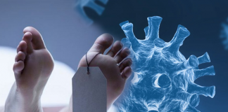 Seven deaths reported due to Covid-19