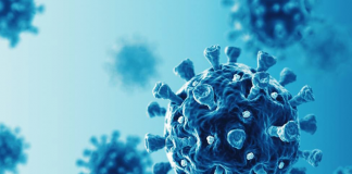 454 more individuals recovered from Covid-19