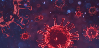 113 more individuals recovered from Covid-19