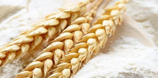 Wheat flour prices increased