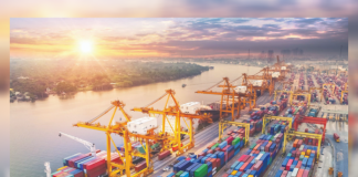 Import of 300 items suspended