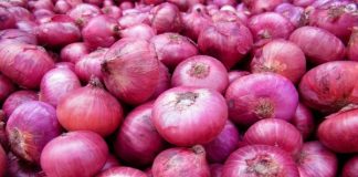 Big onion prices down
