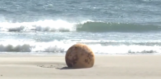 Japan is disturbed by a Mystery sphere