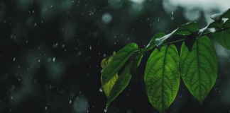 Few showers expected in some areas