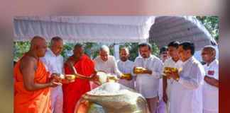 National New Paddy Harvest festival held under President’s patronage