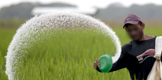 Urea price to be reduced from June 15