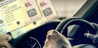 Temporary driving licences extended by two years