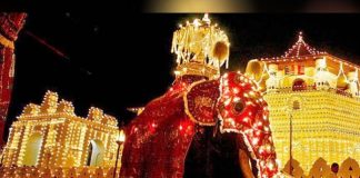 Kandy Esala Perahera commences today