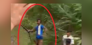 Two arrested for hitting tourist travelling on train