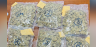 Customs seize parcel with hashish