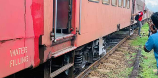 Trains delayed on coastal line due to derailment
