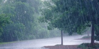 Rainy conditions expected to enhance