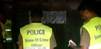 Wanted suspect killed in shootout